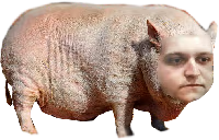 knur emote