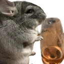 chinchilla_rose emote