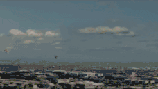 FREEDOM animated emote