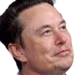 elonlooking emote