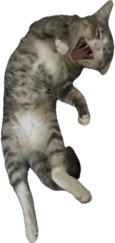 LPJoey emote