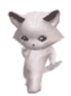 cat_dance emote