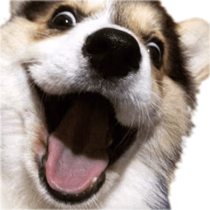 DogSmile emote