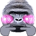 HarambeShy emote