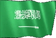 flagSaudiArabia emote