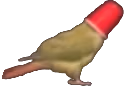 birdcup emote