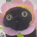 HolyShit emote