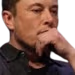 elonthink emote