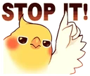 birbspotit emote