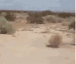 Tumbleweed emoji