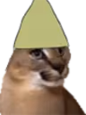 FloppaDank emote