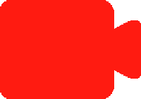 Camera emote