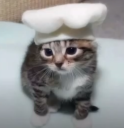 chef static emote