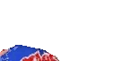 vp emote