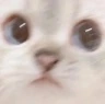 CE_Lookingatu3 emote