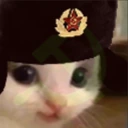 kkomhehede emote