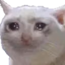 mericCat emote