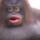 uh_oh_closeup emote