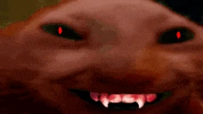 xdding emote