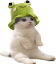 catsittingverycomfortablewithfroggyhat emote