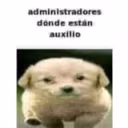 administradoresAuxilio emote