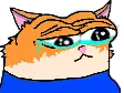 peeposadcat emote
