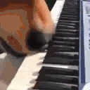 horsePiano emote