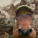 cavalo_traumatizado emote