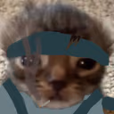 SolidCat emote