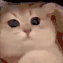 3 emote