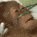 copiumOD emote