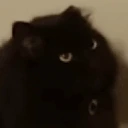CatTongue emote