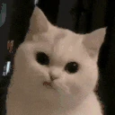 grr emote
