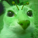 blerpcat emote