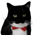 maxwelldapper emote