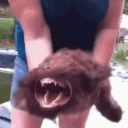 dawg emote