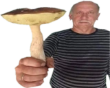 grzyb emote