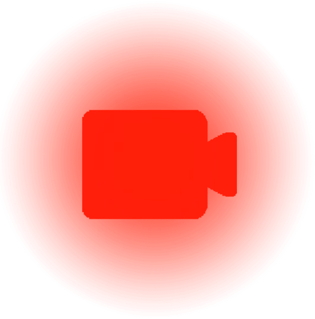 camera emote