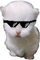 swagpert emote