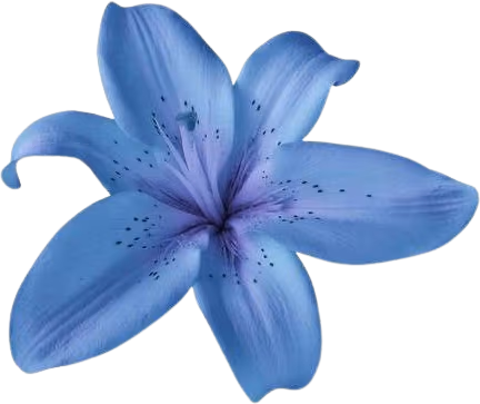 Flower emote