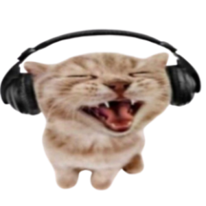 xwocky avatar