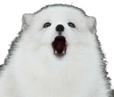 Awoooo emote