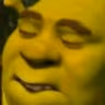 Shrektiied emote
