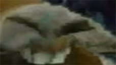 XDD emote