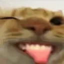 SillyChamp emote