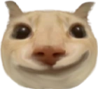 otaga emote