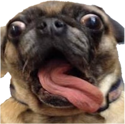CrazyDog emote