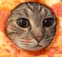 PizzaCat emote
