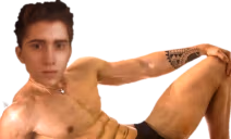 Prince emote