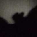 shadow_nice emote